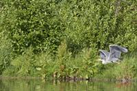 Cjp_2009_06_04_085329 (2).jpg